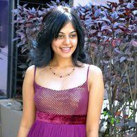 Bindu Madhavi Hot in Pink Gown Dress - Pictures | Picture 120963